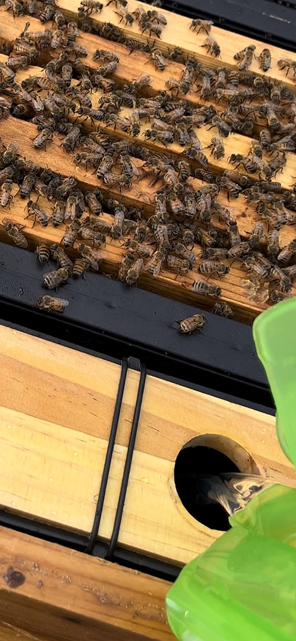 BeeCastle Bee Pro Feeder Beehive Frame Feeder Deep Frame Water Feeder for Beekeeping Bee Feeding Tools customer photo 1