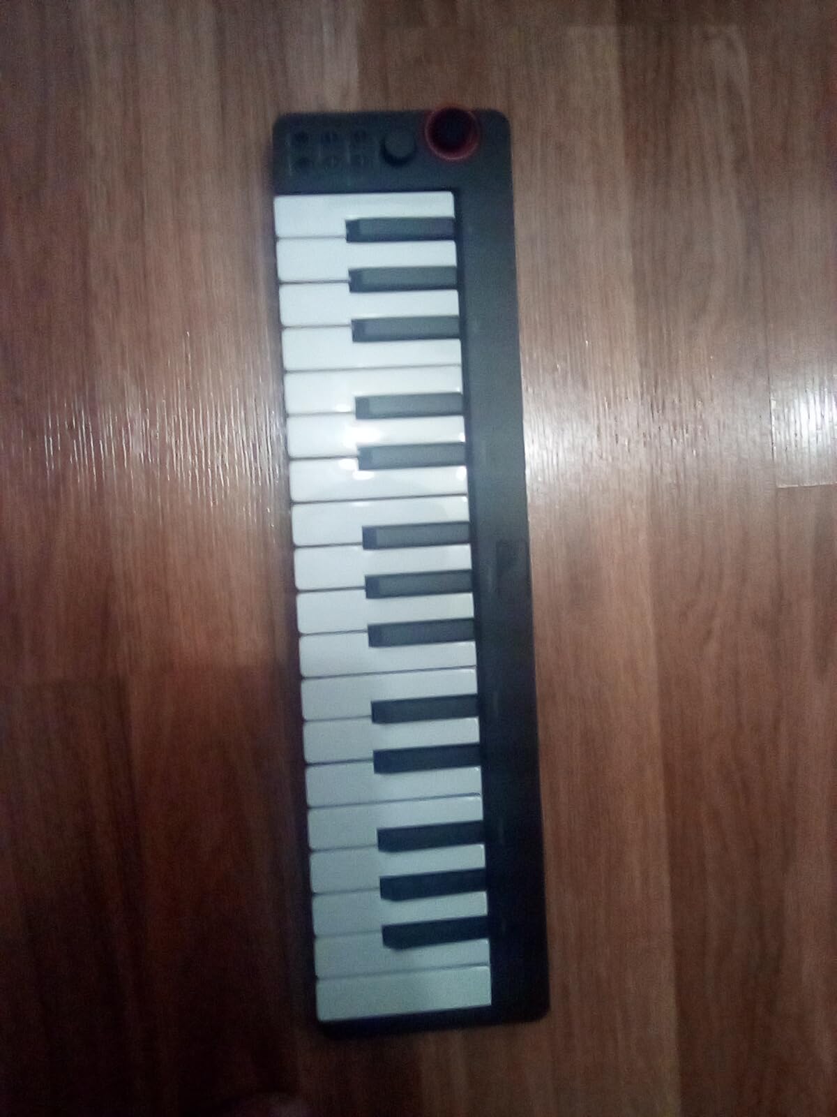Donner Mini MIDI Keyboard N-25 - 25 Key MIDI Controller for Beginner with Velocity-Sensitive Mini Keys, Light-up Rocker, Music Production Software, 40 Teaching Courses customer photo 2