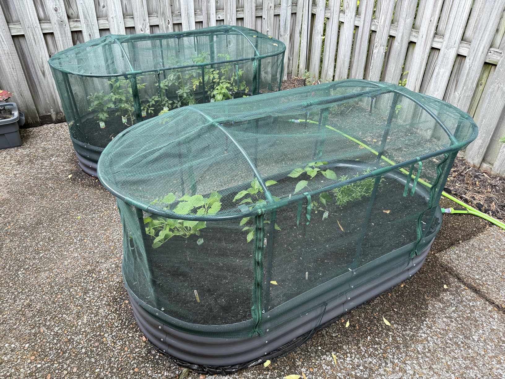 Quictent Galvanized Raised Garden Bed Kit with Self Watering System and Mesh Cover, Large Oval Metal Outdoor Planter Garden Boxes for Vegetables Herbs Flowers, 6x3x1Ft customer photo 1