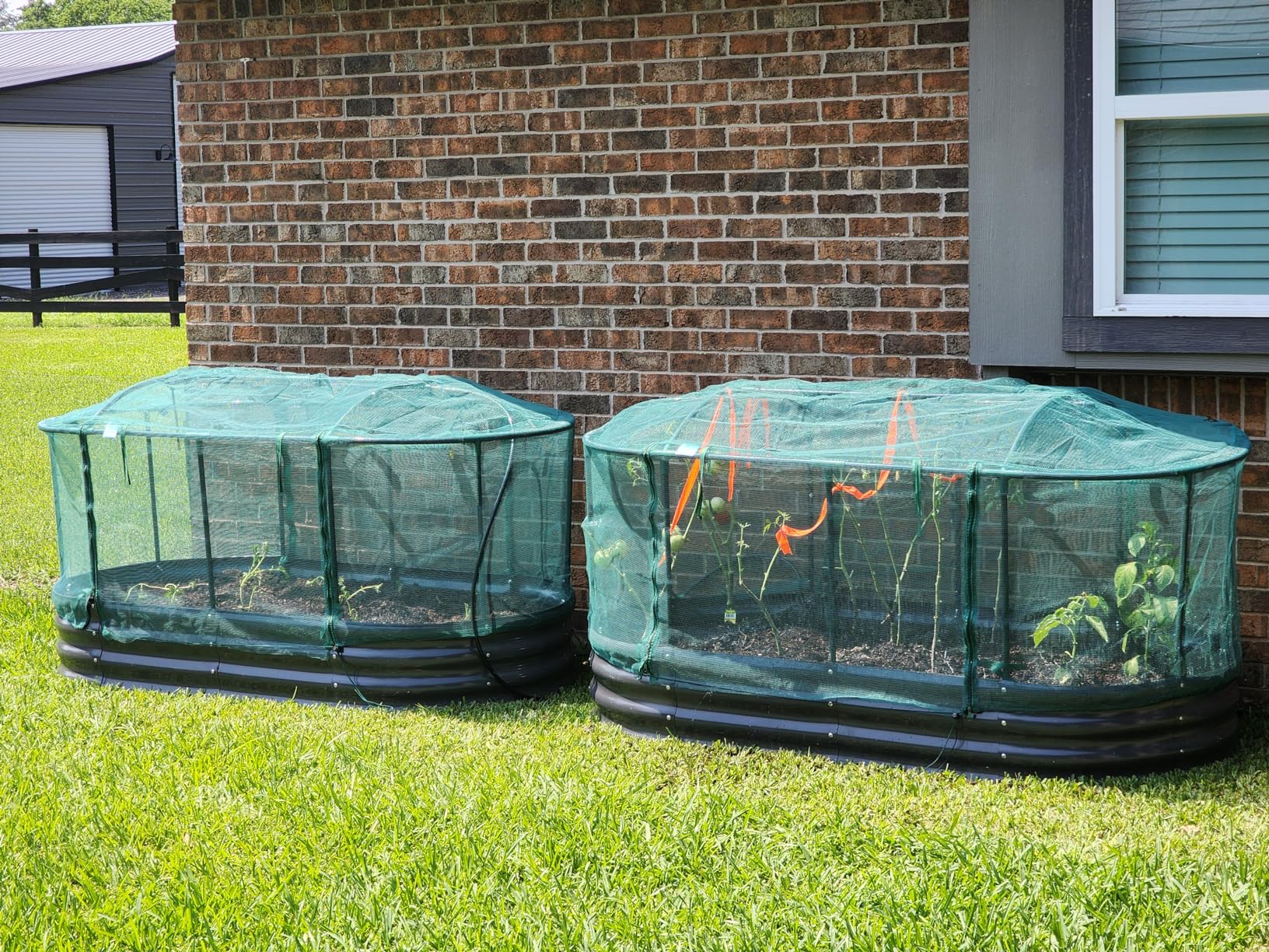Quictent Galvanized Raised Garden Bed Kit with Self Watering System and Mesh Cover, Large Oval Metal Outdoor Planter Garden Boxes for Vegetables Herbs Flowers, 6x3x1Ft customer photo 2