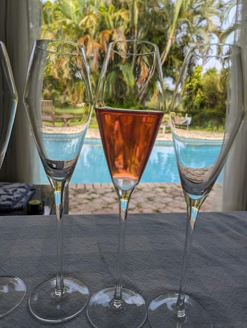 Champagne Flutes Glasses Set of 4, 8.4 oz Hand Blown Crystal Wedding Flutes, Elegant Tulip Glasses - Ideal Gift for Wedding, Anniversary,Christmas Day (4 Count (Pack of 1)) customer photo 1