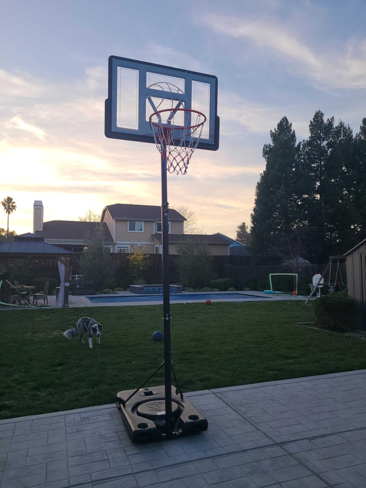 Basketball Hoop Outdoor 10ft Adjustable, Portable Basketball Hoop Goal System for Kids Youth and Adults in Backyard/Driveway/Indoor, 44 Inch Shatterproof Backboard and Larger Base customer photo 1
