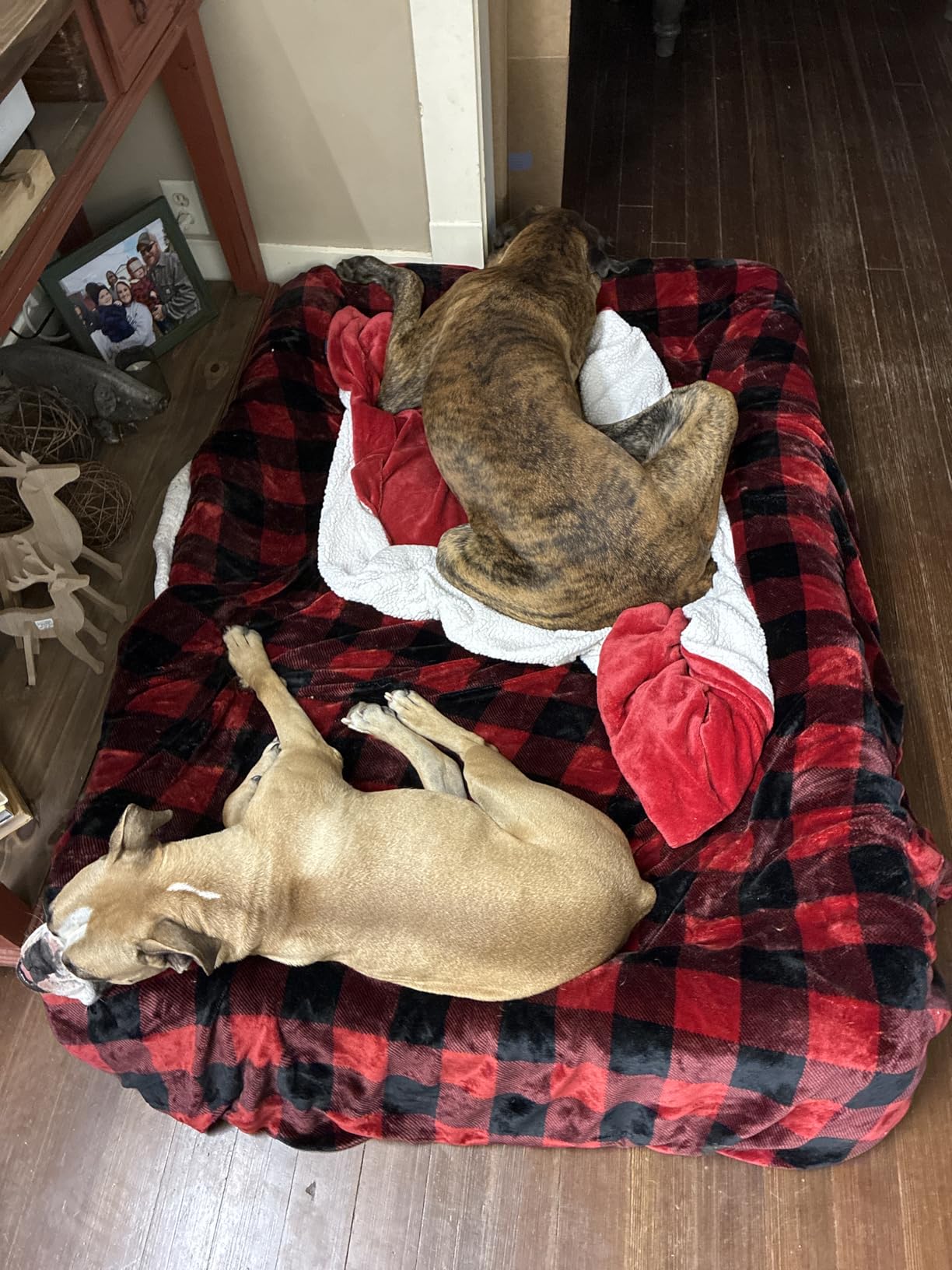 WNPETHOME XL Extra Large Dog Bed, Washable Dog Couch with Removable Waterproof Cover, Orthopedic Large Pet Sofa Bed with Bolster Sides for Sleeping customer photo 1