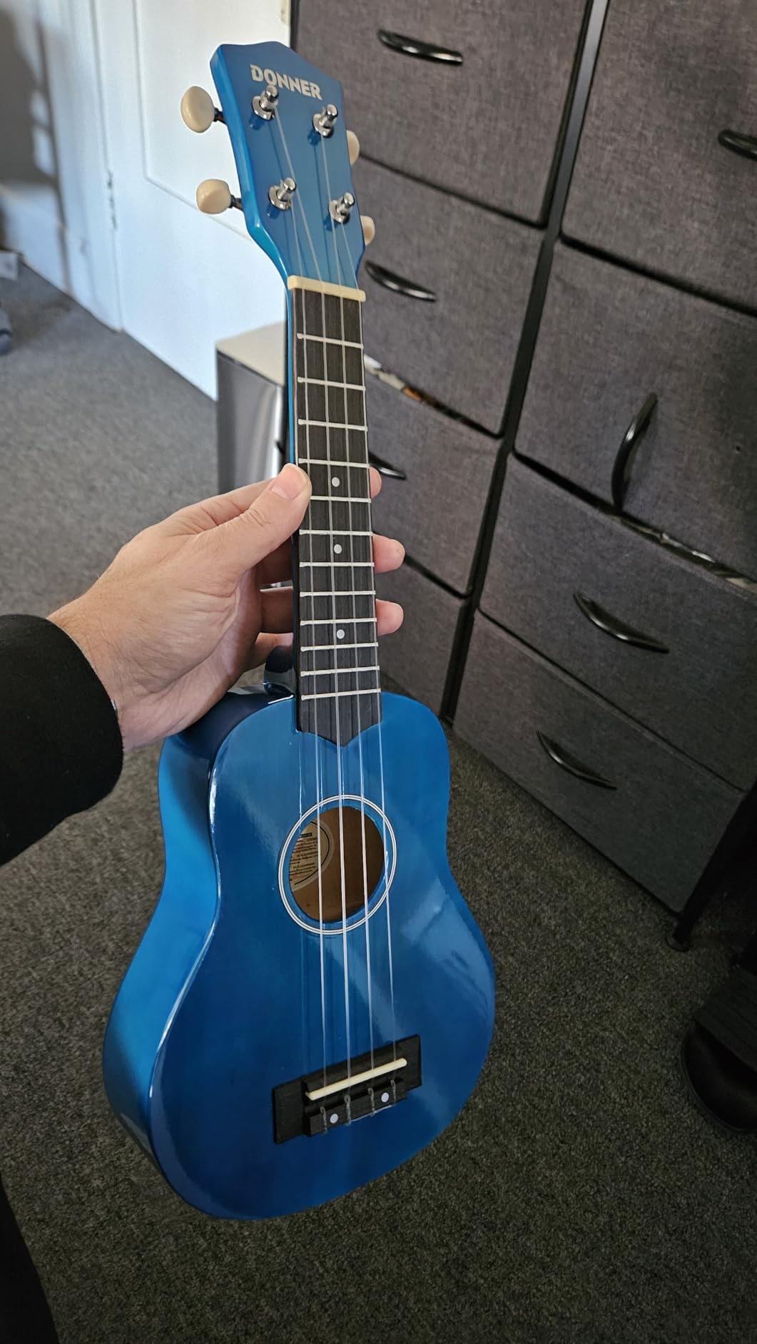 Donner Soprano Ukulele for Beginner 21 Inch Matte Ukulele Beginner Kit with Bag Strap Tuner Strings Picks Cloth, Free Online Lessons, Holiday Christmas & Birthday Gift (Black) customer photo 1