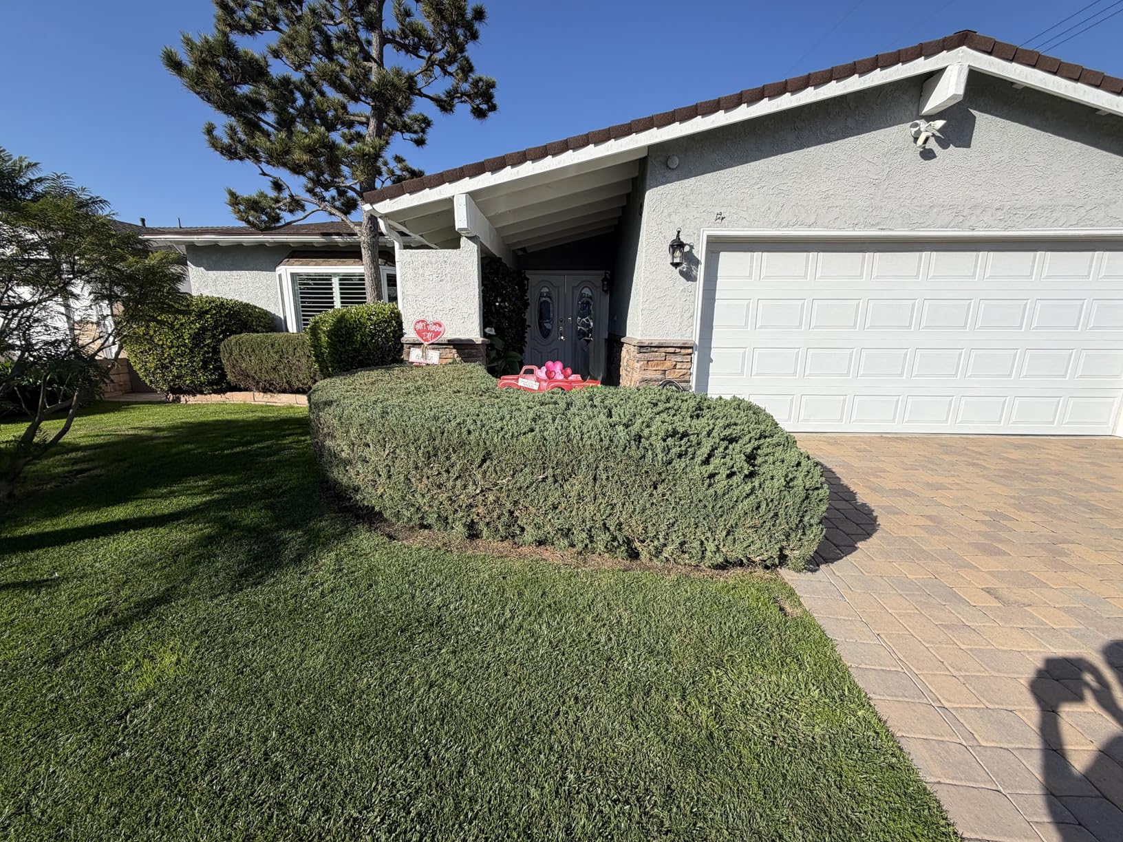 Ryobi 18V ONE+ 22-Inch Hedge Trimmer Dual Action customer photo 1