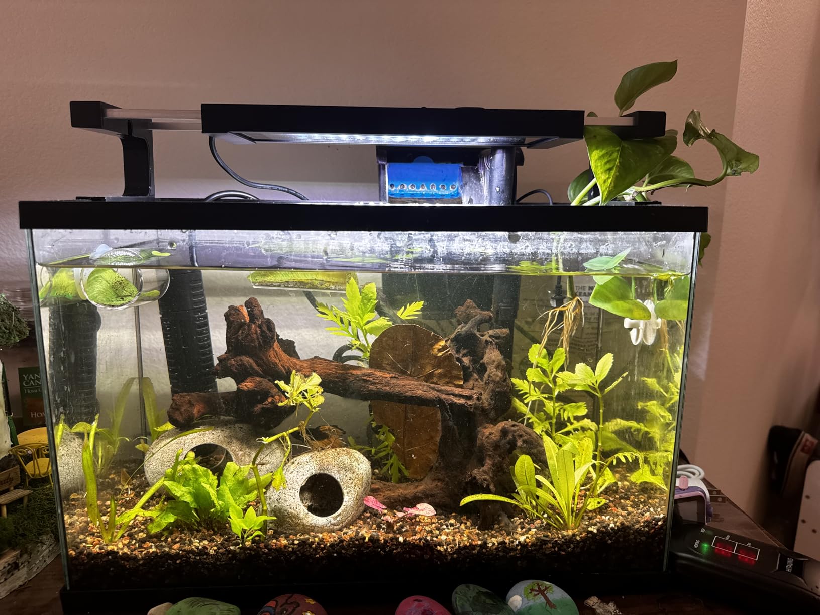 GLOWRIUM Smart Aquarium Light, Bluetooth + WiFi Dual Control Freshwater Fish Tank Light with App, Multi-preset Spectrum, Brightness Adjustable, Anti-Drop, Real Time Water Temperature Sensor (18-24 in) customer photo 1