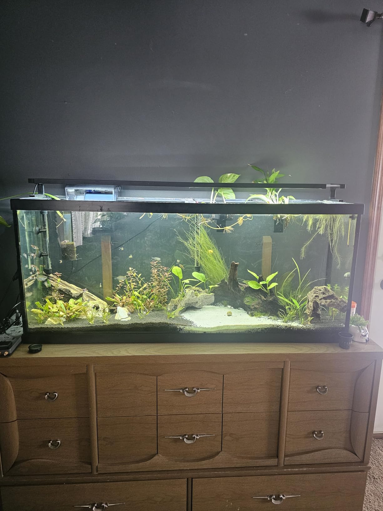 GLOWRIUM Smart Aquarium Light, Bluetooth + WiFi Dual Control Freshwater Fish Tank Light with App, Multi-preset Spectrum, Brightness Adjustable, Anti-Drop, Real Time Water Temperature Sensor (18-24 in) customer photo 2