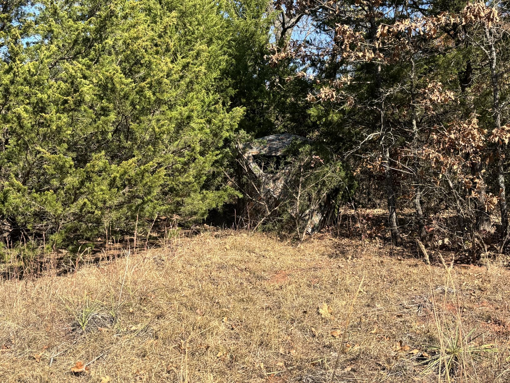 Lenotos Hunting Blind, 2 Person Pop Up Blinds 360 Degree See Through, Portable Durable Hunting Ground Blinds for Deer & Turkey Hunting customer photo 1
