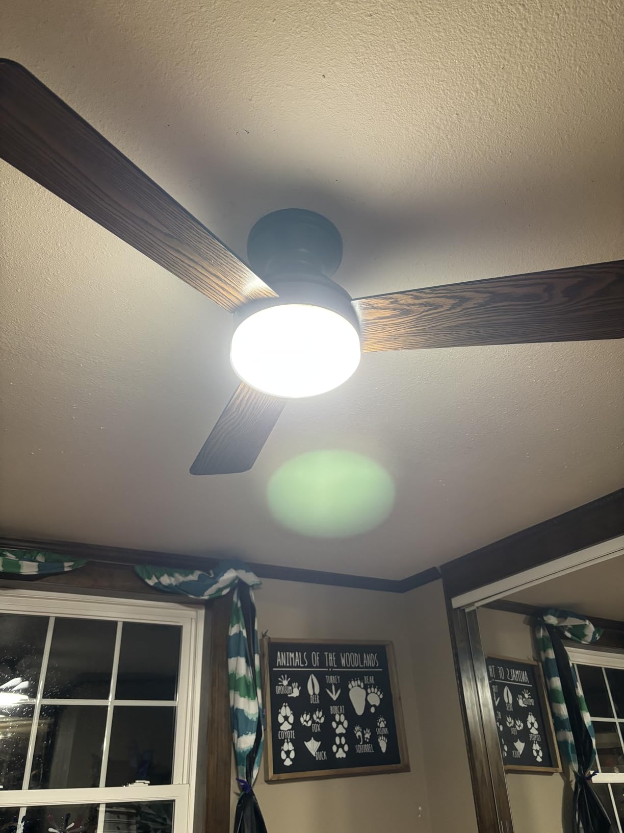 Amico Ceiling Fans with Lights, 42 inch Low Profile Ceiling fan with Light and Remote Control, Flush Mount, Reversible, 3CCT, Dimmable, Noiseless, Black Ceiling Fan for Bedroom, Indoor/Outdoor Use customer photo 2