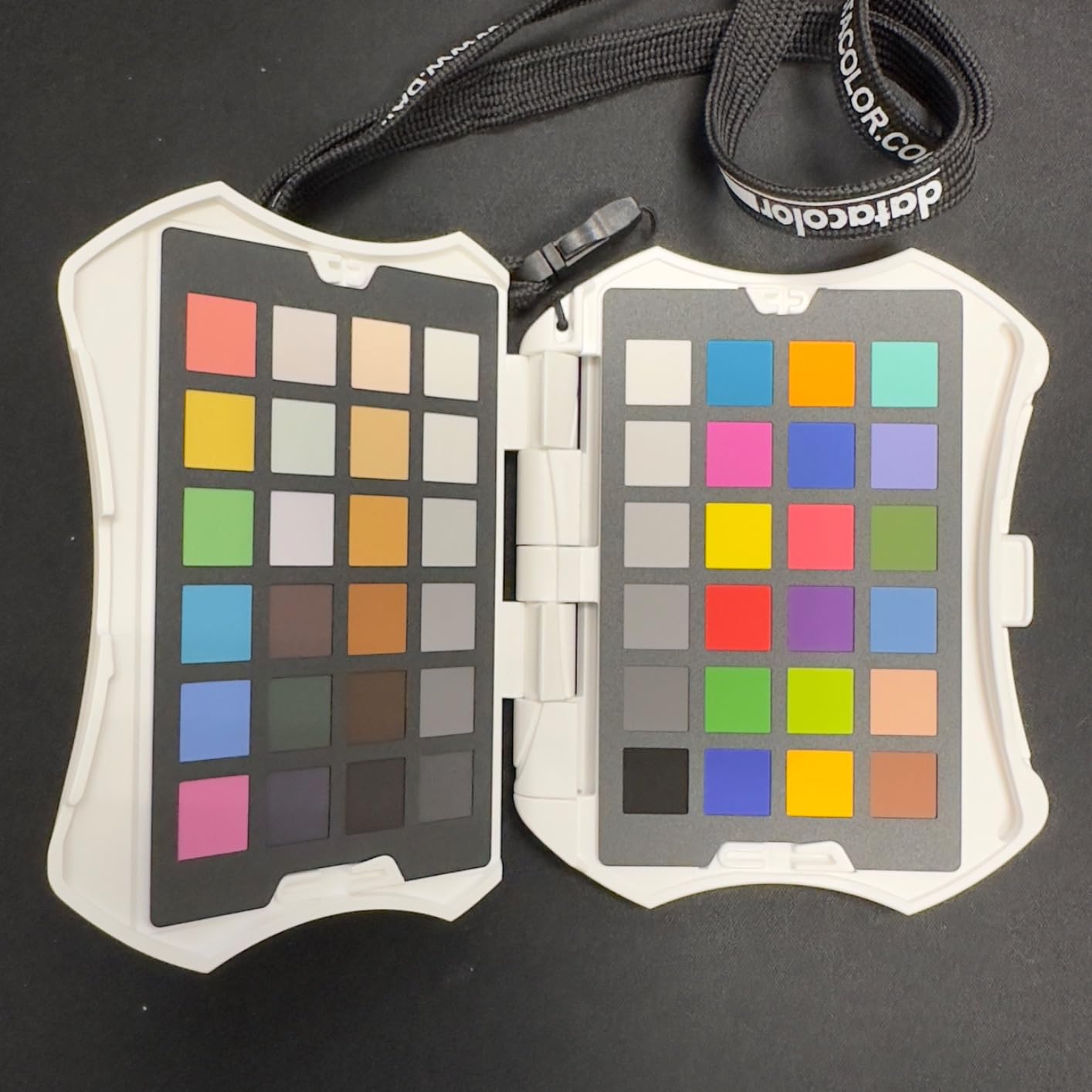 Datacolor Spyder Checkr Photo for Color Accuracy & Consistency, Portable Color Matching Tool with Ergonomic Case, 62 Color Targets, Color Correction Chart for Photography & Portraits (SCK310) customer photo 2