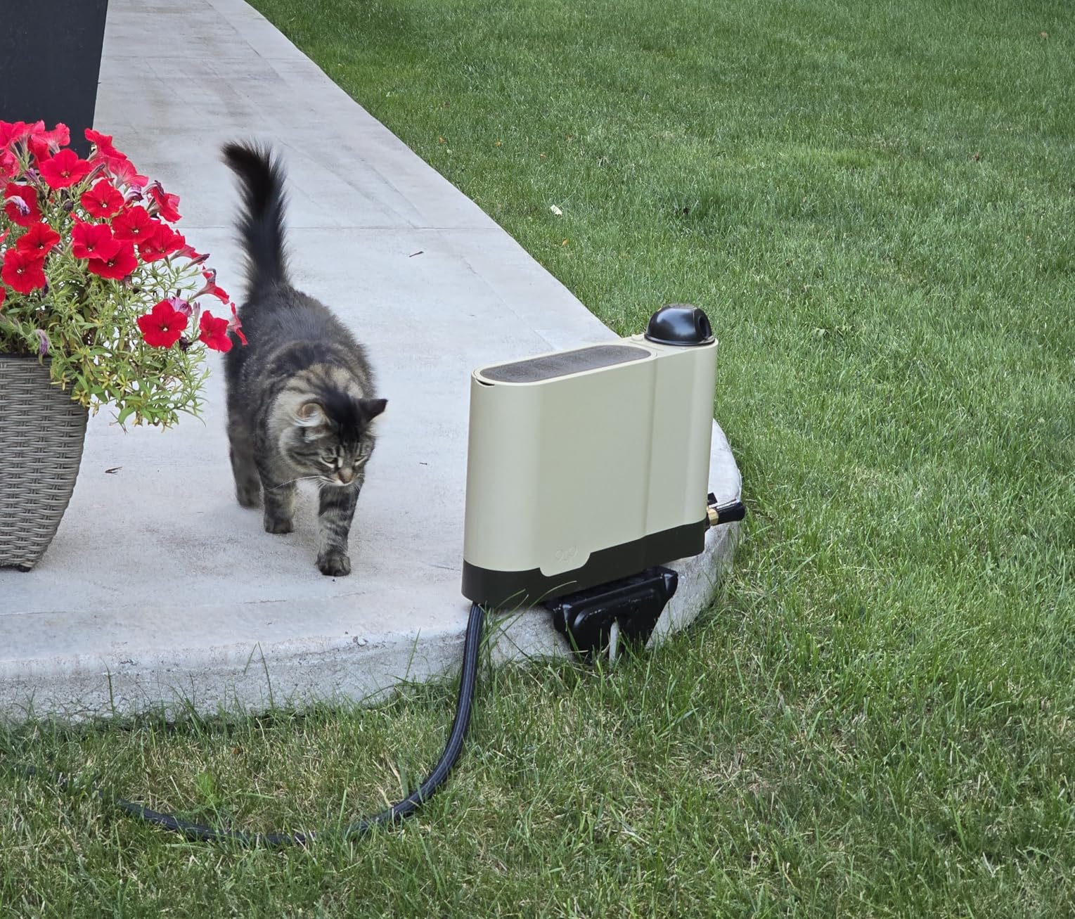 OtO Lawn Smart Sprinkler - App-Controlled Precision Watering, Solar-Powered, Weather Intelligence, Rain Skips, Quick Install, Covers 5,000 sq ft, Water-Saving Irrigation System customer photo 1