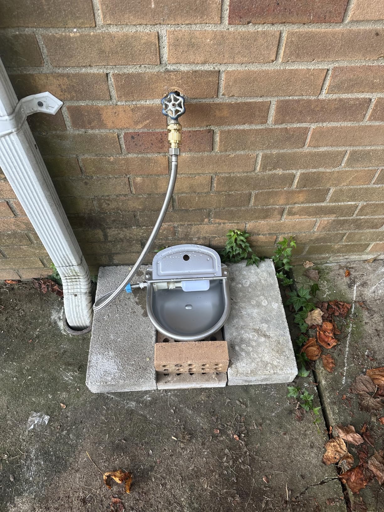 Automatic Animal Drinking Water Bowl, 304 Stainless Steel Waterer for Dog Horse Goat Pig Cow, Livestock Water Trough Dispenser with Pipe Hose, 2 Float Valves customer photo 1