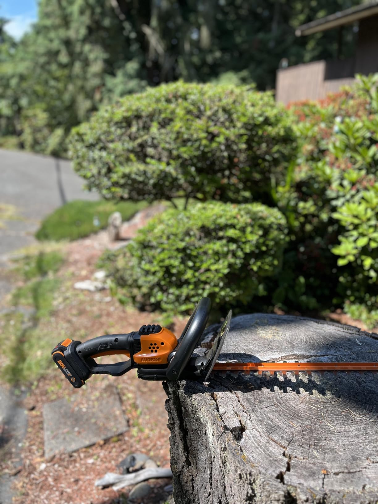 Worx Nitro 24-Inch Cordless Hedge Trimmer with 2 Batteries and Charger, WG286 customer photo 1