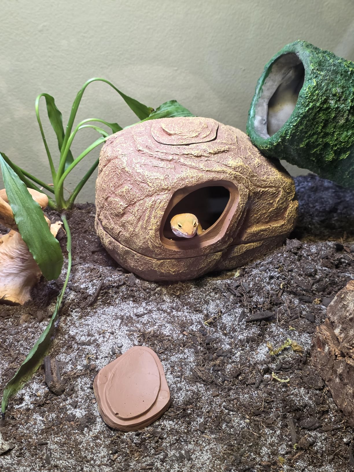 REPTI ZOO Gecko Hide Cave, 2 in 1 Snake Reptile Hideout for Hide & Rest & Breed & Feeding customer photo 2