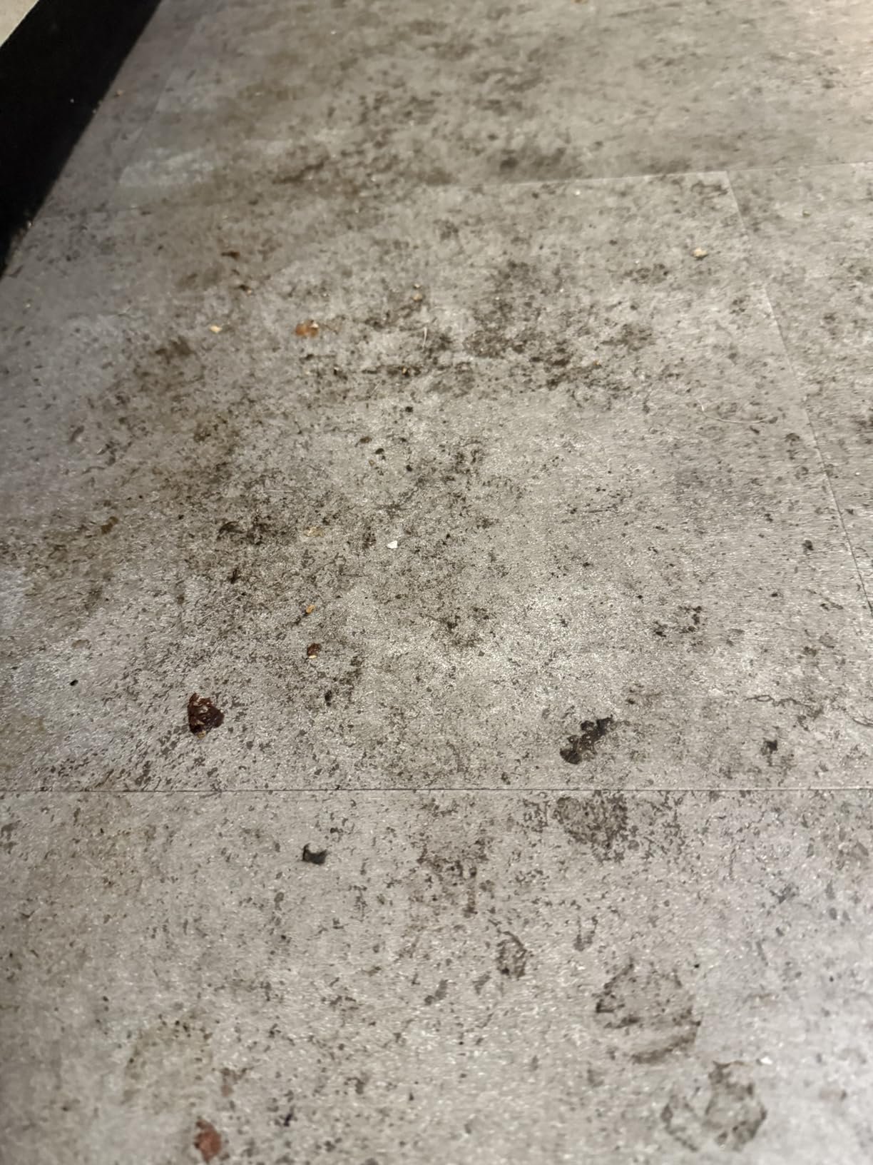 Bissell CrossWave Turbo Vacuum Mop All in One Wet and Dry Vac Combo Hard Floor & Area Rug Cleaner, 3888A customer photo 2