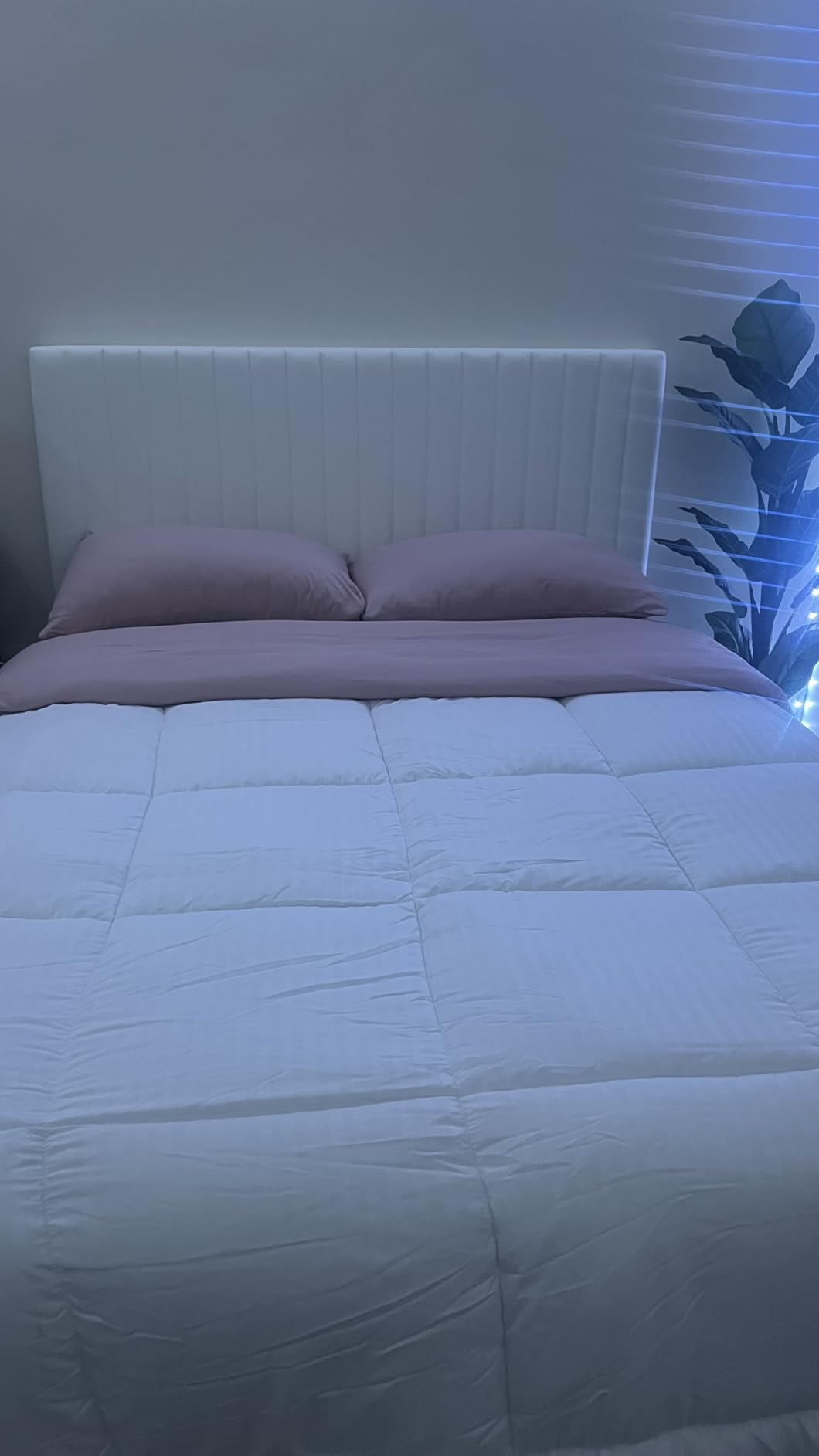 Allewie Queen Bed Frame, Velvet Upholstered Platform Bed with Vertical Channel Tufted Headboard, Mattress Foundation with Strong Wooden Slats, Box Spring Optional, Easy Assembly, Black customer photo 2
