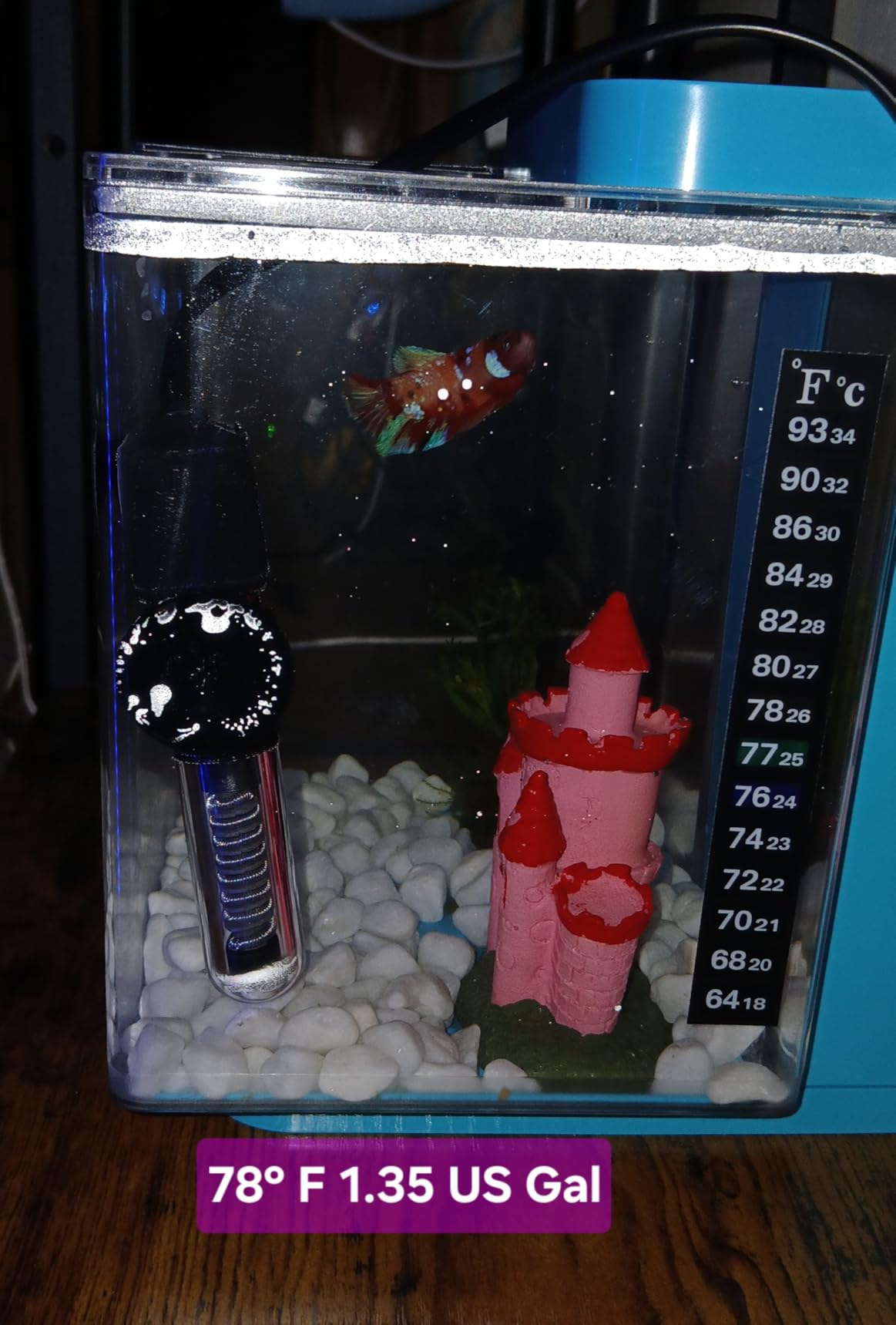 AQUANEAT Aquarium Heater, 25W Small Betta Fish Tank Heater, Mini Preset Water Thermostat with a Thermometer customer photo 1