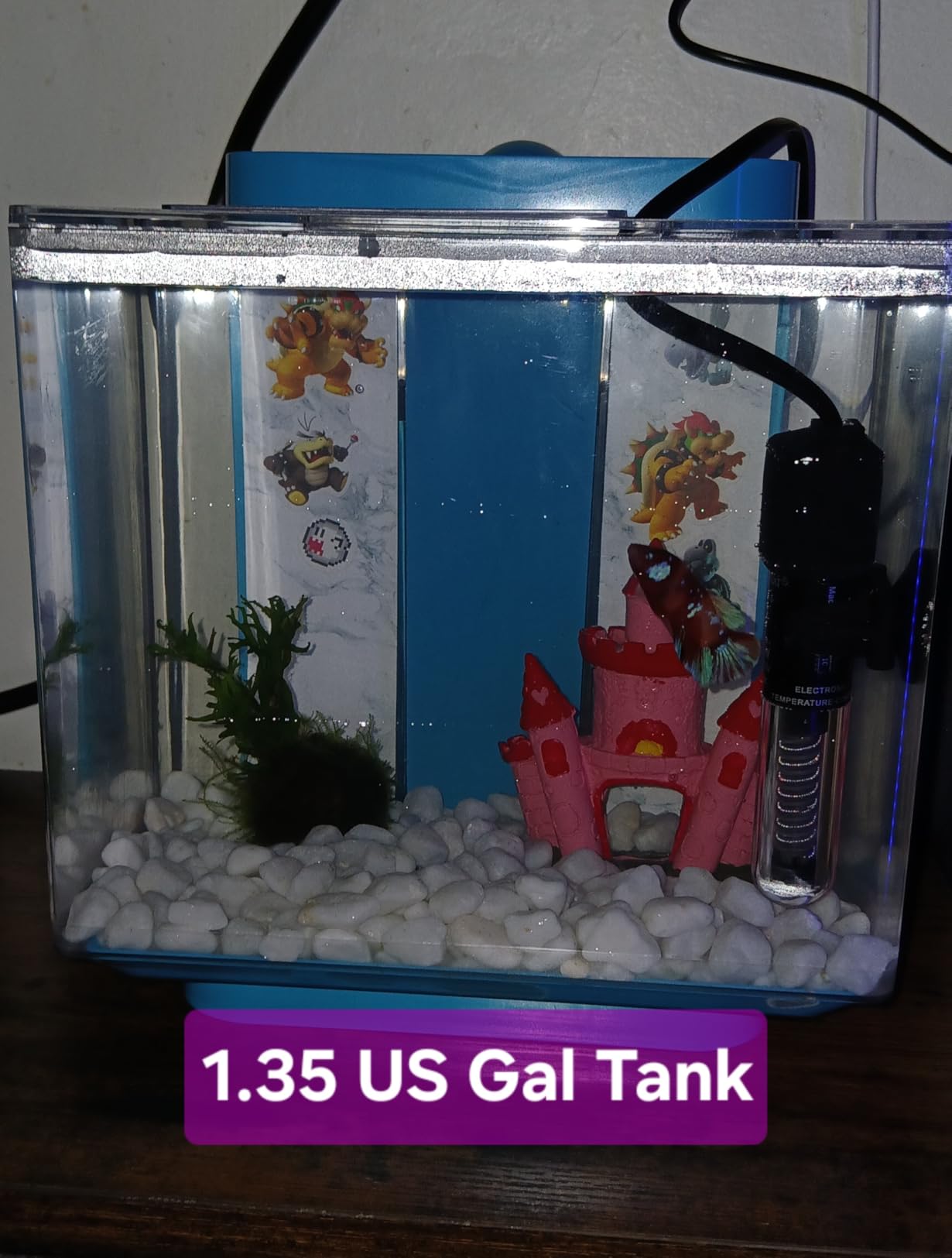 AQUANEAT Aquarium Heater, 25W Small Betta Fish Tank Heater, Mini Preset Water Thermostat with a Thermometer customer photo 2