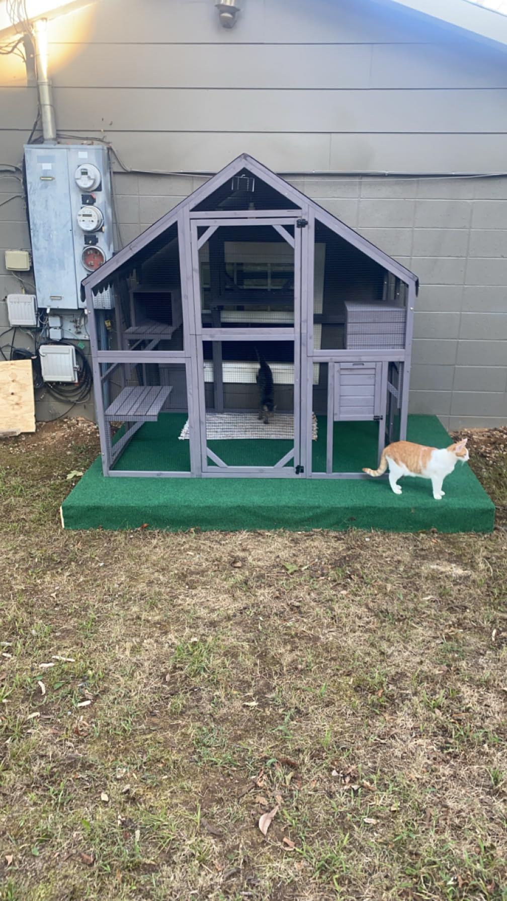 Aivituvin Catio Outdoor Cat Enclosure Large Cat Run with Bridges, Walks, Small Houses, Roof Cover 110