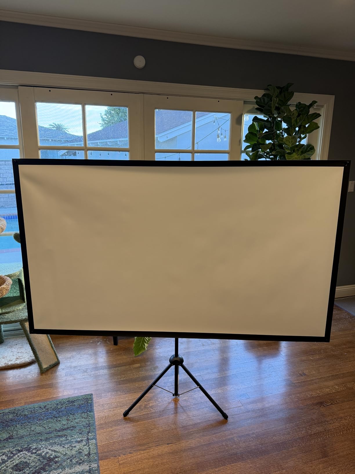 Projector Screen with Stand, Paris RHONE 100-inch Outdoor Indoor Projector Screen 16:9 4K HD PVC, 1.5 Gain Portable Wrinkle-Free Movie Screen for Home Backyard Theater with Carry Bag, Ground Nails customer photo 1