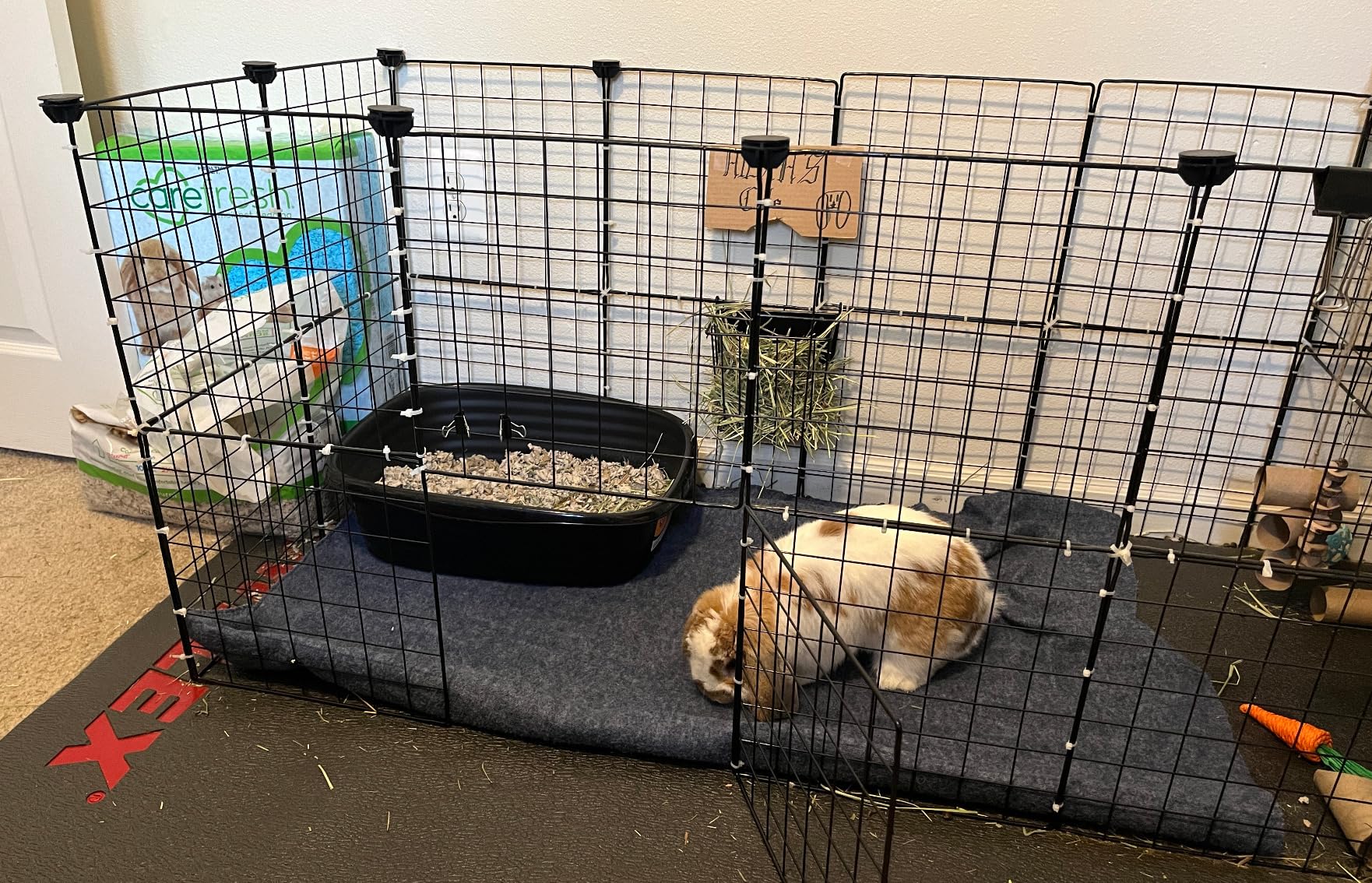 Upgrades Rabbit Hay Feeder - Guinea Pig Hay Feeder - Metal Frame Hay Rack with Adjustable Hook - Less Wasted - for Guinea Pigs - Chinchilla Bunny Cage Accessories - Bunny Feeder customer photo 2