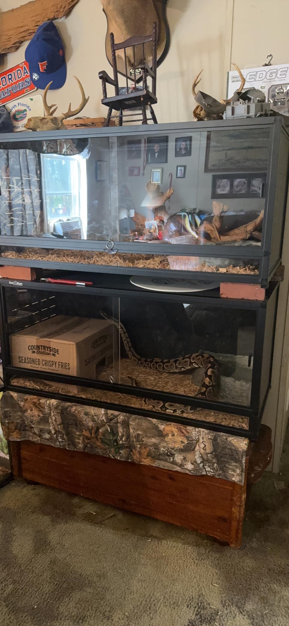 PVC Reptile Enclosure Space Efficient 44''x20''x20'' Stackable ToxiRium Large Reptile Terrarium 76 Gallons for Bearded Dragon Lizard Snake, Breeding Vivarium with Sliding Doors Lock-2pcs with spacers customer photo 1