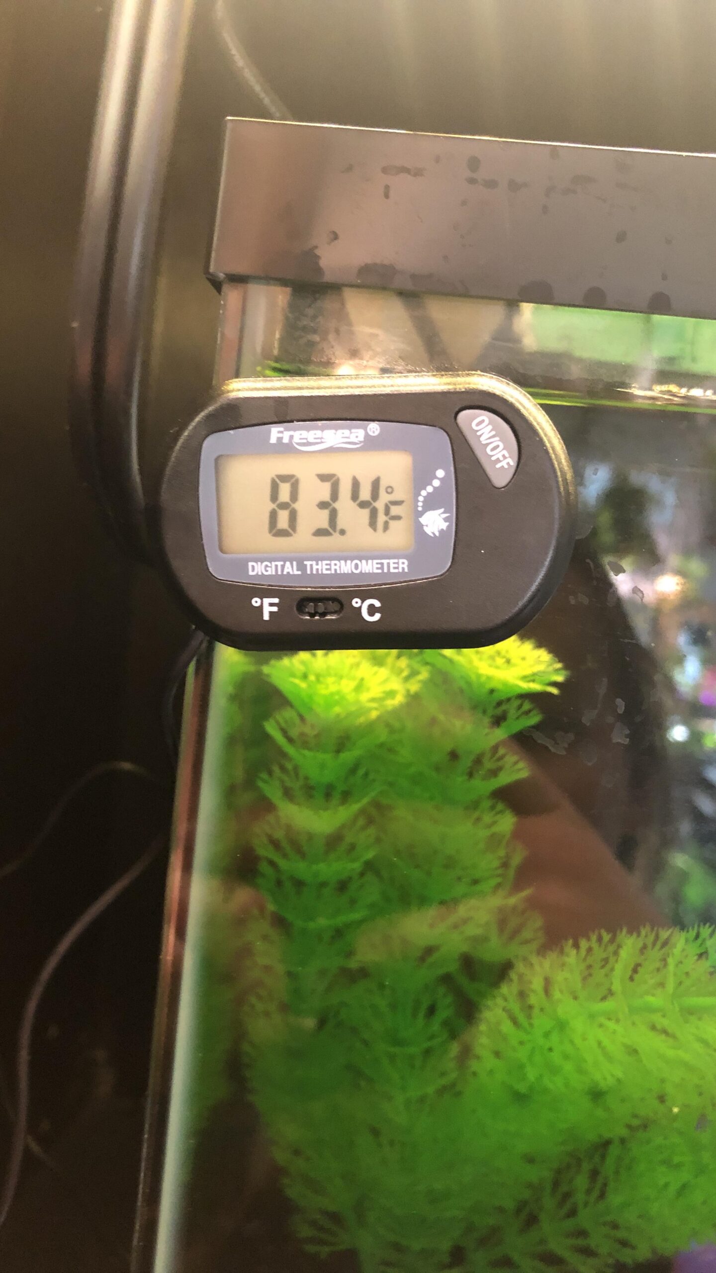 FREESEA Aquarium Fish Tank Heater: 25W/50W/100W/300W Small Submersible Aquarium Heater with Preset Temperature for 1-5 Gallon Betta Turtle Freshwater Saltwater Tank customer photo 1