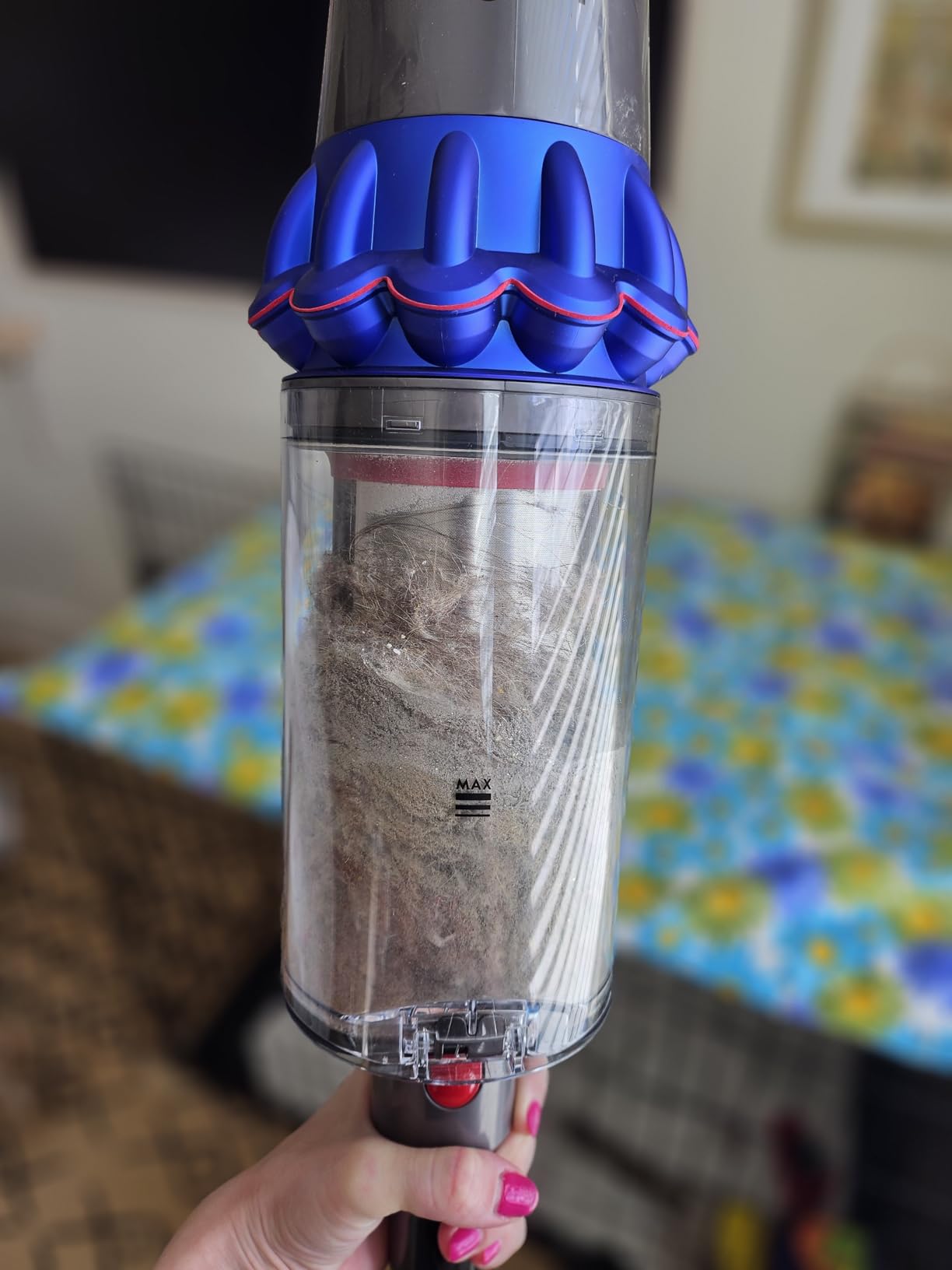 V15 Detect Pro Cordless Vacuum Cleaner customer photo 2