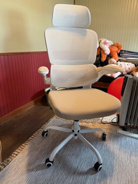 TRALT Office Chair Ergonomic Desk Chair, 330 LBS Home Mesh Office Desk Chairs with Wheels, Comfortable Gaming Chair, High Back Office Chair for Long Hours (Black) customer photo 1