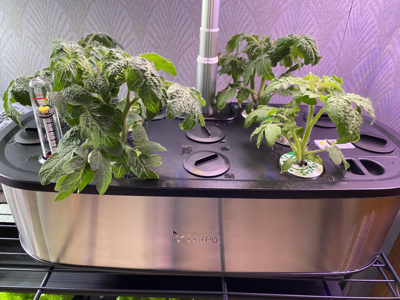 LetPot LPH-Max Hydroponics Growing System Kit, 21 Pods APP & WiFi Automatic Controlled Smart Indoor Garden with 36W LED Grow Light, Auto Drip Irrigation Kits, Self-Managed Nurturing & Watering customer photo 1