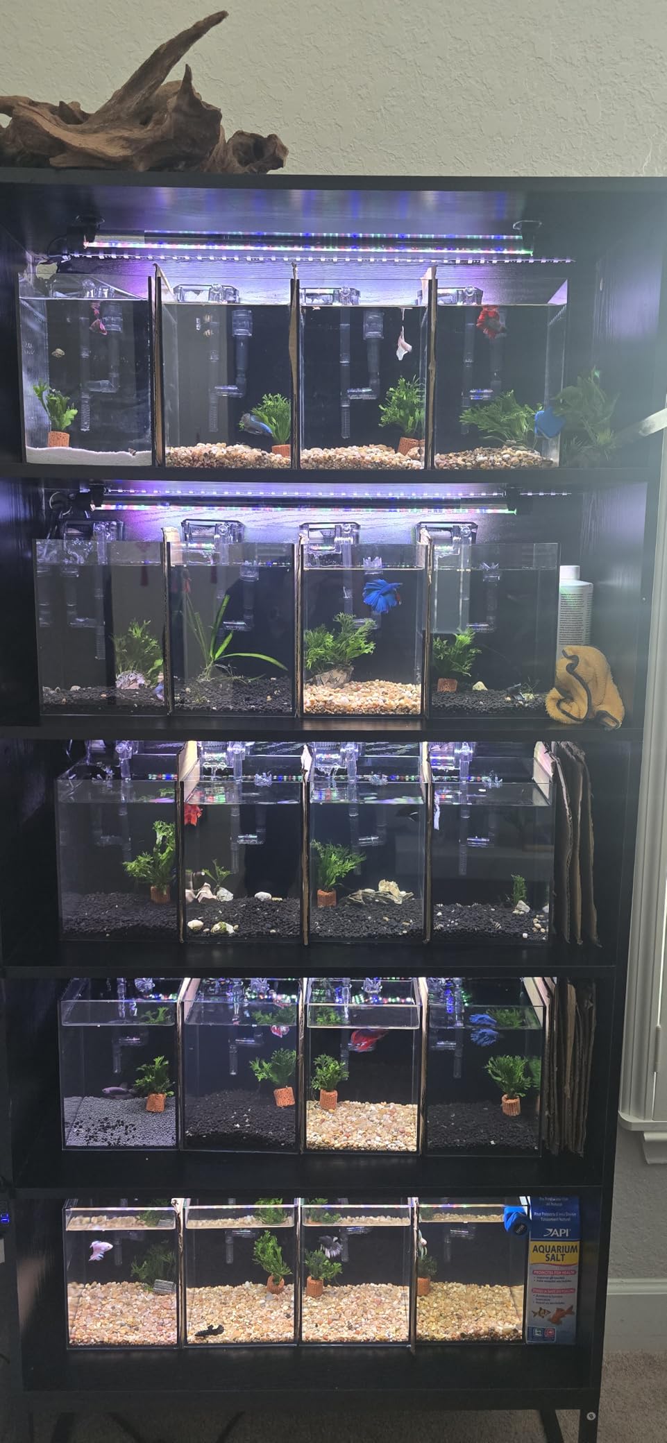1.5 Gallon Fish Tank Starter Kits, Nano Glass Aquarium with Filter, Led Light for Aquascape DIY Small Betta Fish Tank customer photo 1