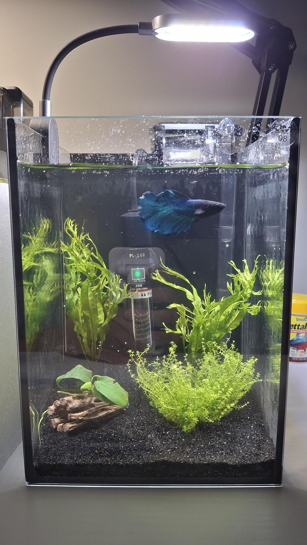 1.5 Gallon Fish Tank Starter Kits, Nano Glass Aquarium with Filter, Led Light for Aquascape DIY Small Betta Fish Tank customer photo 2