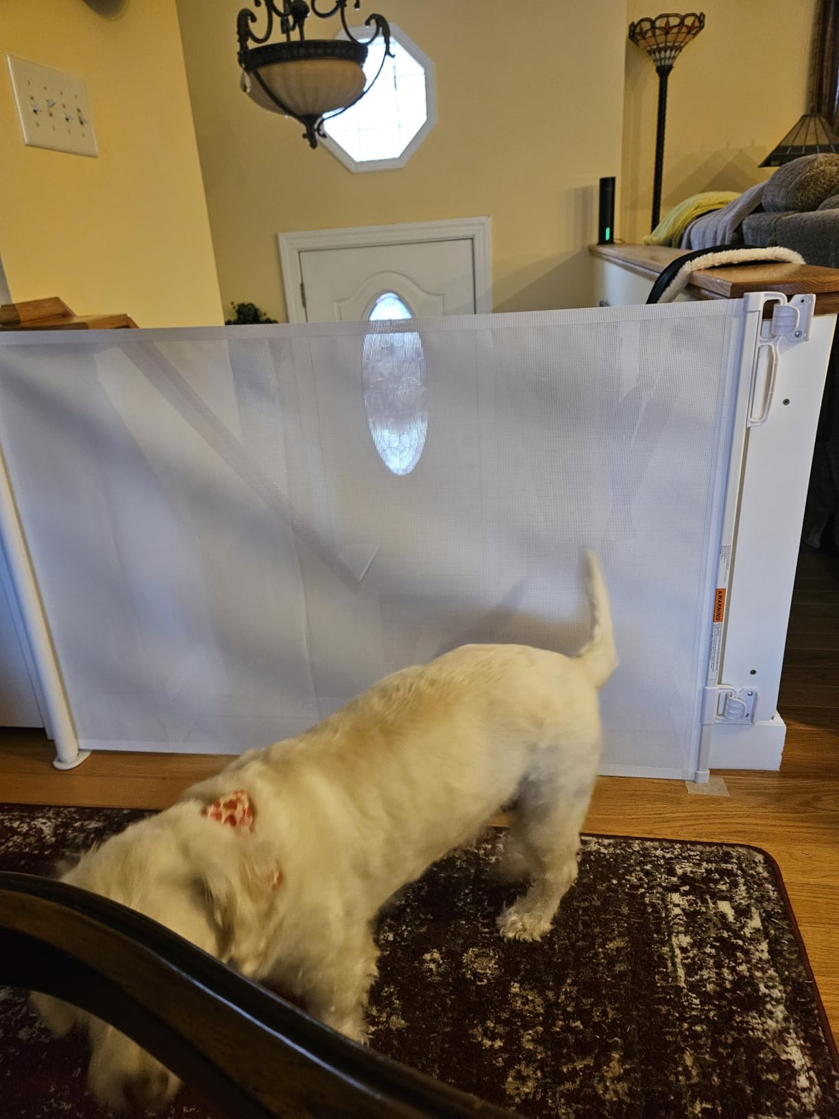 probebi Retractable Baby, Child & Dog Gates for Stairs, Extends to 54