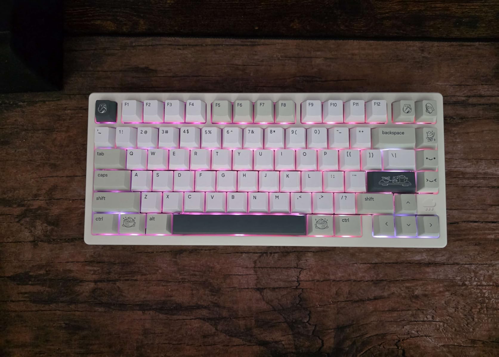 Akko V3 Penguin Tactile Silent Keyboard Switch for Mechanical Gaming Keyboard, 5-Pin 50gf Quiet Pre-Lubed Switches with Standard MX Structure (45pcs) customer photo 2