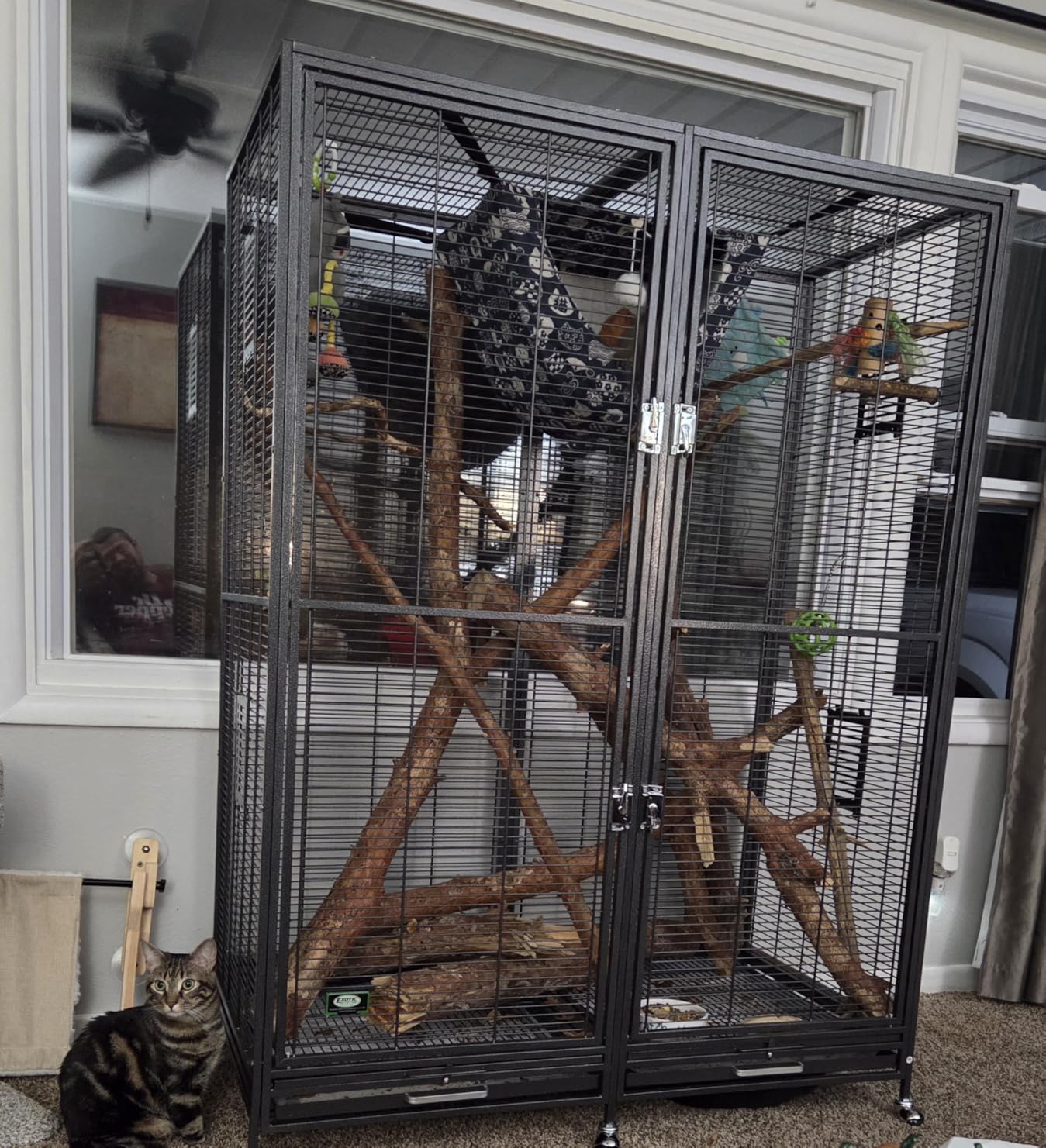 Exotic Nutrition Borneo Small Animal Cage - for Sugar Gliders, Squirrels, Marmosets & Other Small Pets (Cage) customer photo 1