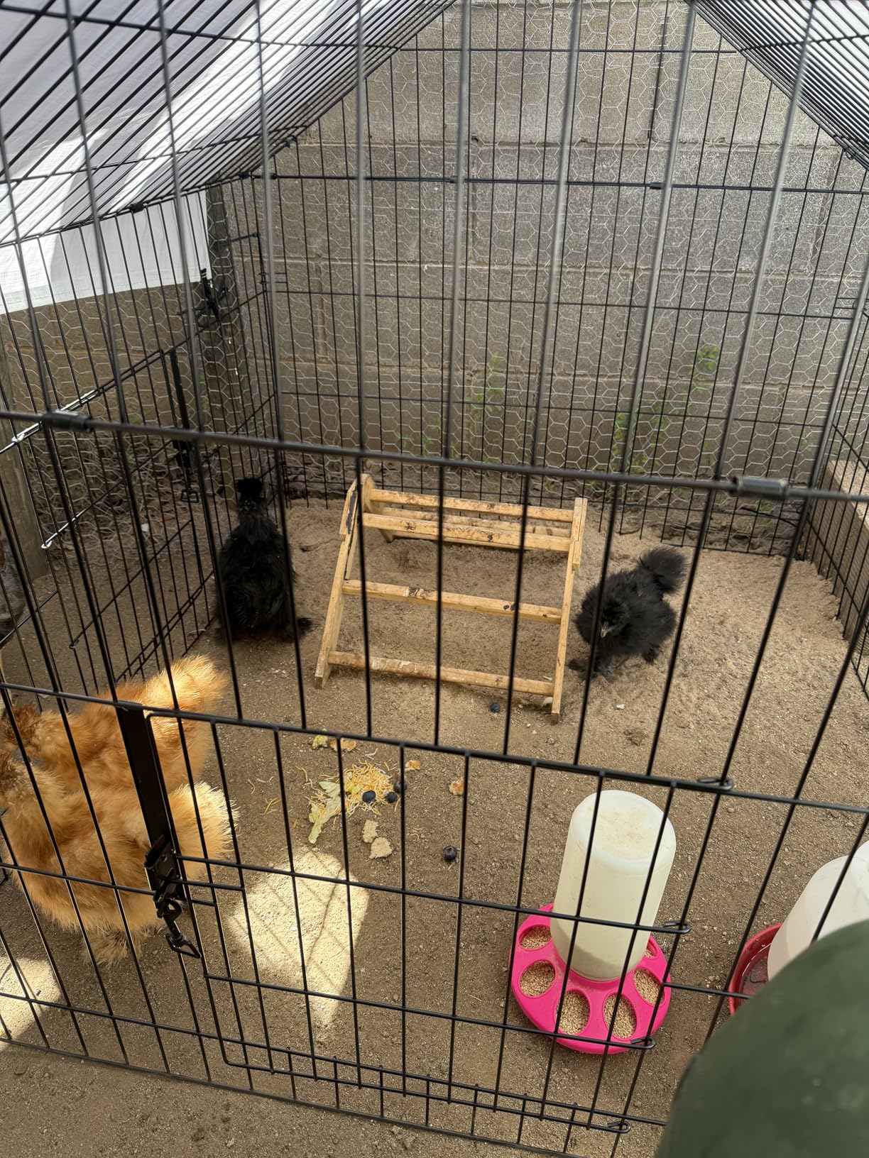 Metal Chicken Coop 86x40x40 Chicken Run with Waterproof Cover Portable Poultry Cage Walk in Hen House Outdoor Backyard Farm Animal Enclosure Crate Pet Playpen Exercise Pen for Rabbit Duck customer photo 1