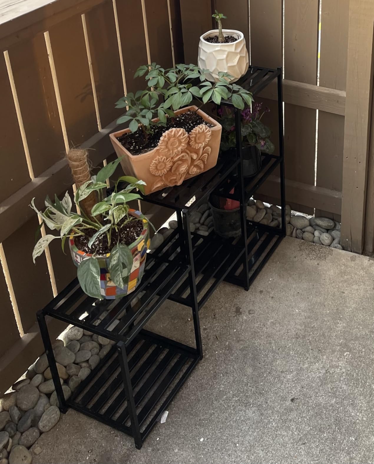 Simple Trending Plant Stand Indoor Outdoor, Heavy Duty Metal Waterproof 7 Tiered Plant Shelf for Multiple Flower Planter Holder Tall Large Rack, Black customer photo 1