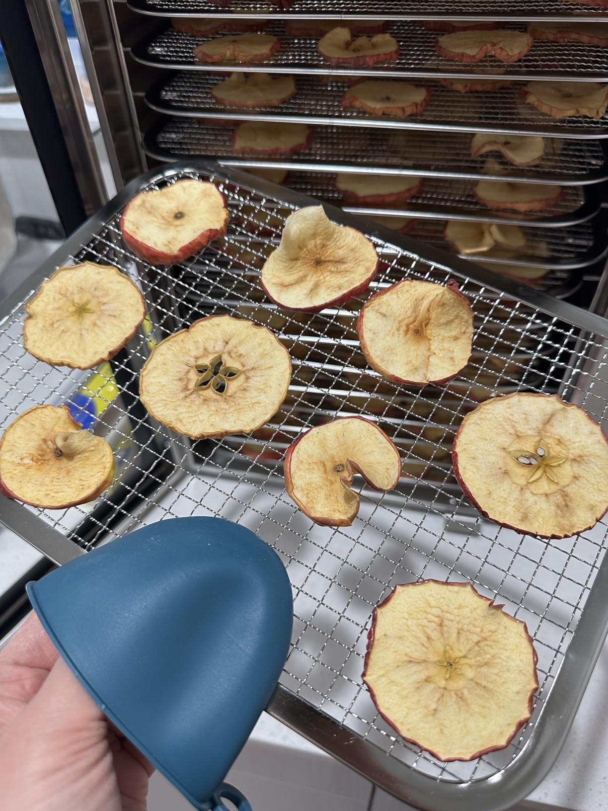 SUCISENI Food Dehydrator Machine 1000W 18 Trays Stainless Steel Commercial Food Dehydrated Dryer with 24H Timer Touch-Control LED Display, Compact Size for Home Jerky Herbs Meat Beef Fruit Vegetables customer photo 1
