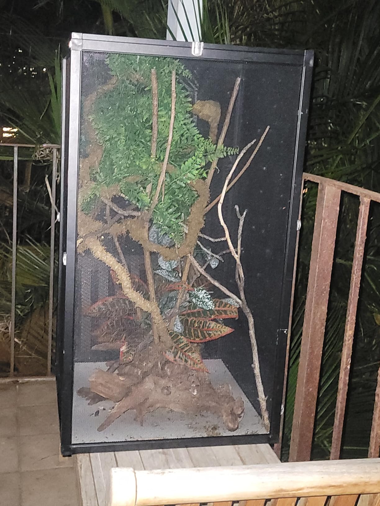 33 Gal Detachable and Foldable Reptile Butterfly Cage Terrarium, 360° Observation, Airflow, Interaction in Gecko Tank for Crested Geckos, Leopard Geckos, Chameleons, Bearded Dragons customer photo 1