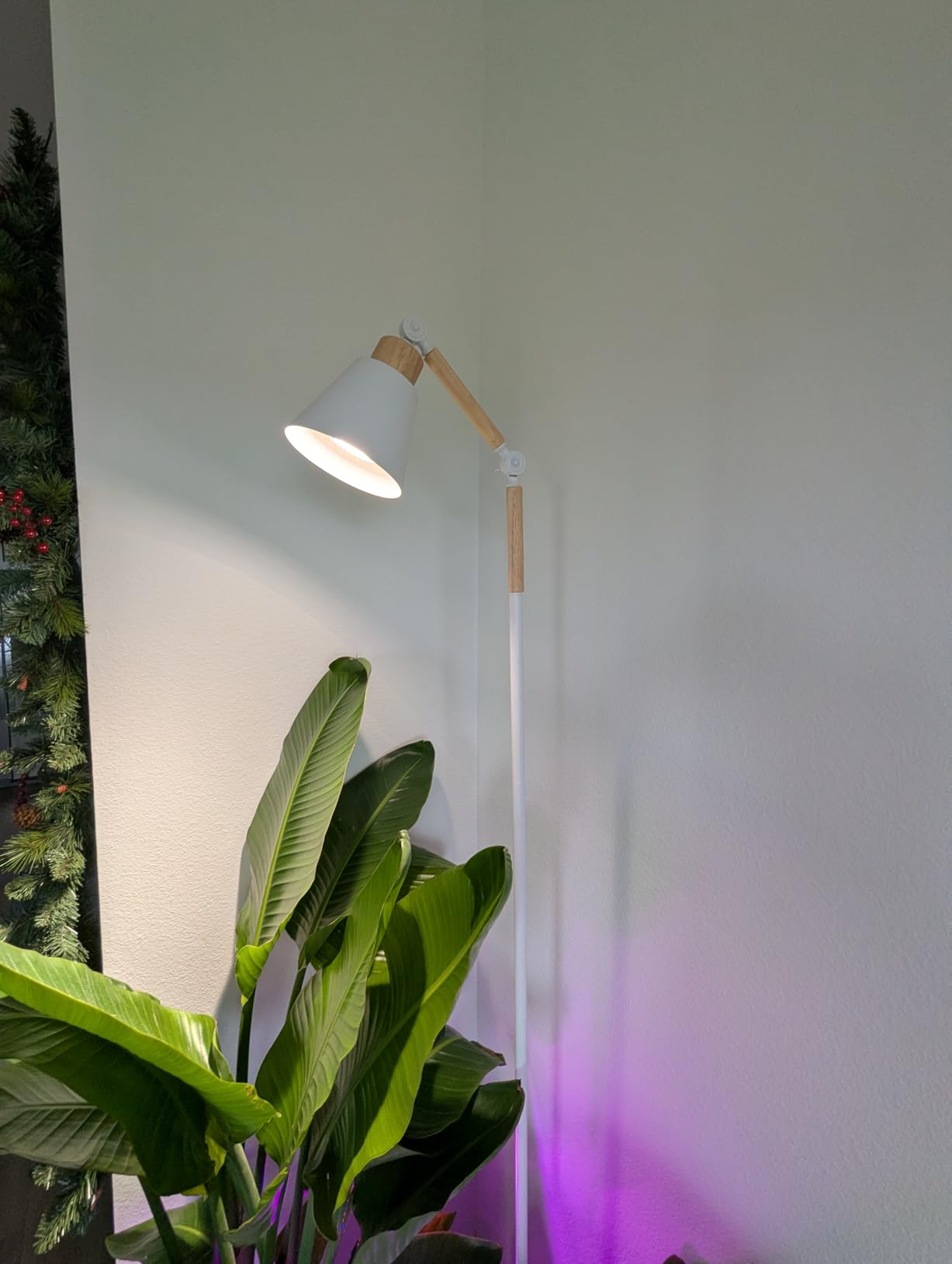 HMVPL Grow Lights for Indoor Plants Full Spectrum, Plant Lights for Indoor Growing with 20W COB Grow Light Blub, 4/8/12H Timer, Standing Tall Grow Lamp for Middle Large Plants(75'', Height Adjustable) customer photo 1