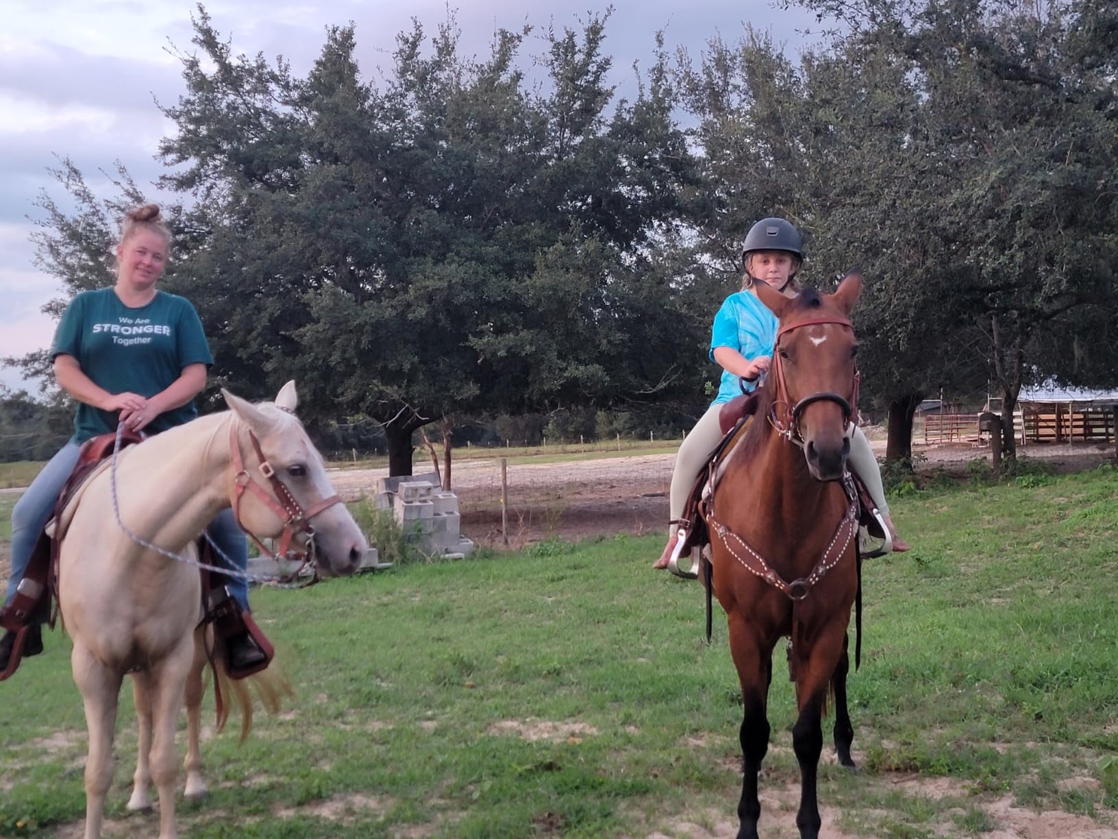Summit Equine Joint & Mobility Bites Daily Supplement for Horses, Liposomal Delivery, Max Absorption, Vet Recommended, All-Natural Ingredients, 100% Drug-Free, Healthy Joints - 30 Bites customer photo 2