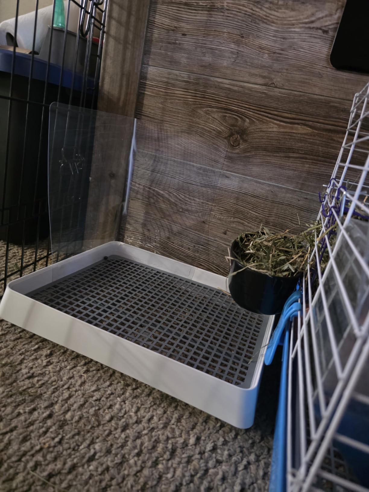 WUWEOT 2 Pack Large Rabbit Litter Box, Shallow Bunny Restroom Litter Tray, Small Animals Litter Pan Toilet Potty Trainer with Grate for Rabbit Hamster Ferret Rats Guinea Pigs Hedgehog Chinchillas customer photo 1