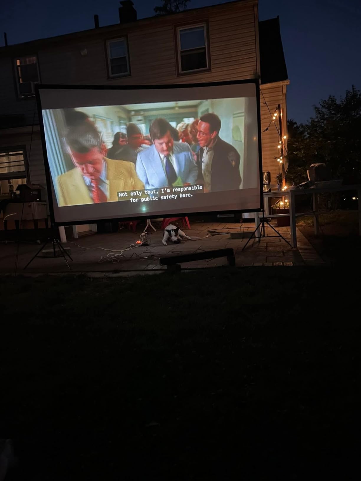 Projector Screen with Stand, 80 Inch Portable Projector Screen Outdoor Indoor, 1.2 Gain Fiberglass Projection Screen, 16:9 Outdoor Movie PVC Screen with Carrying Bag for Movie Night (White Screen) customer photo 2