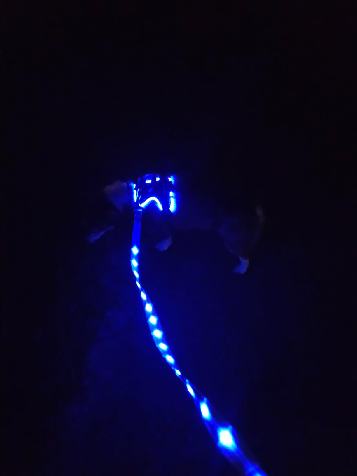MASBRILL Light Up Dog Harness - LED No Pull, Rechargeable, Adjustable, Illuminated & Reflective Vest for Small, Medium & Large Dogs customer photo 2