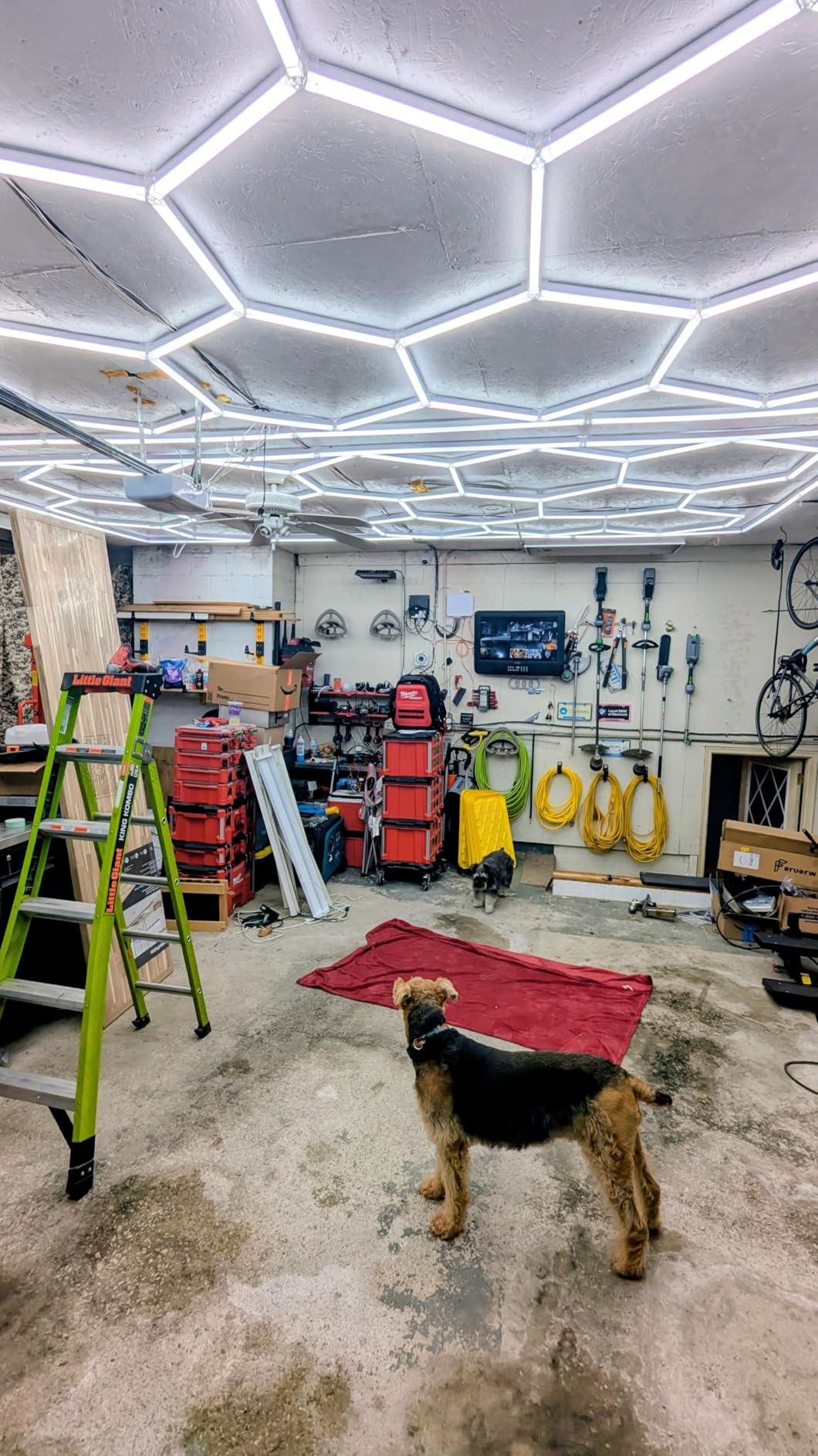 Hexagon Garage Lights, High Brightness 168W 6500K 18480Lumens Honeycomb Hexagon Led Garage Light 5 Grid for Garage, Auto Beauty Shop, Car Detailing Shop, Workshop customer photo 2