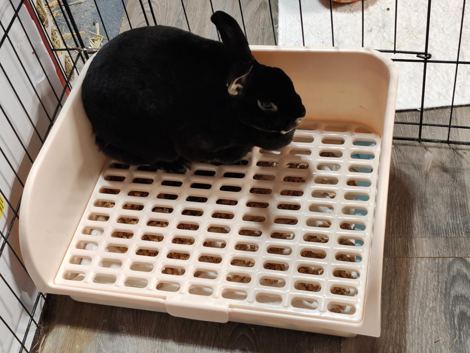 Rabbit Litter Box - Extra Large Bunny Litter Box, Easy to Clean and Disassemble, Prevents Odors and Stains. Training Toilet Pan for Guinea Pig, Hamster, Kitty, Ferret, Galesaur, Chinchilla customer photo 2