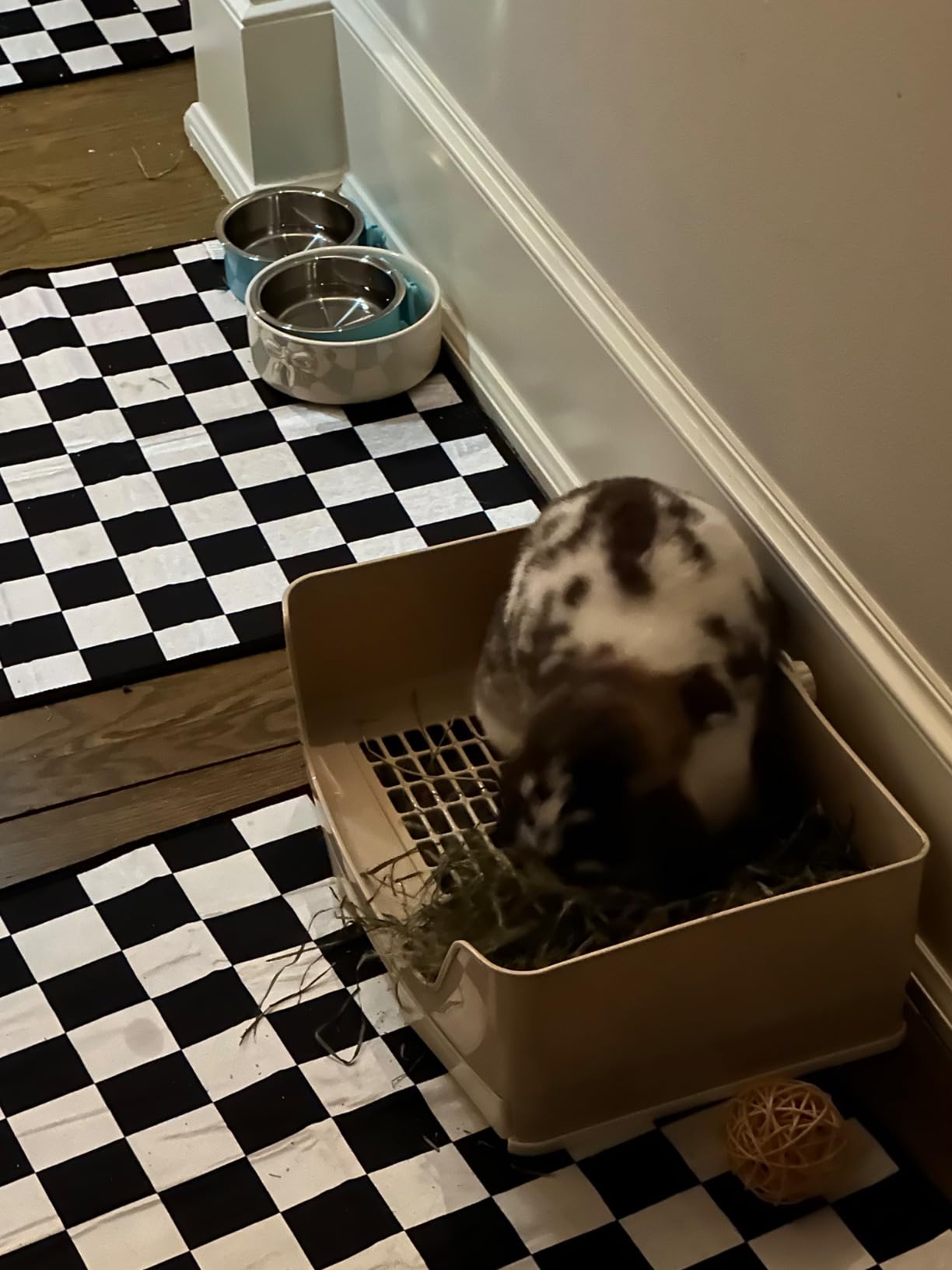 Large Rabbit Litter Box Bunny Potty Training Corner Litter Pan with Drawer Comes with Liners Rabbit Pee Pads, Small Animal Bedding Toilet for Adult Guinea Pig, Ferret, Hamster, Bunnies customer photo 2