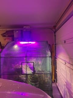 Greengro Greenhouse, 57 x 85 x 76'' Greenhouses for Outdoors, Portable Greenhouse Kit with Mesh Side Windows, PE Cover, 8 Shelves, Heavy Duty Walk in Green House for Backyard Garden Indoor Outside customer photo 2