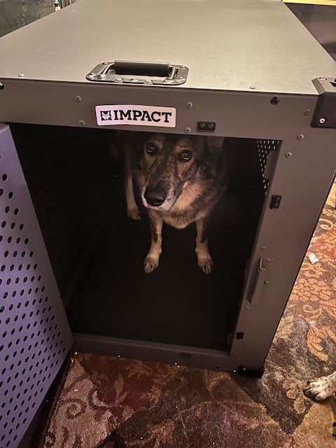Impact Indestructible High Anxiety Dog Crate for XXL Dogs - Heavy Duty Escape Proof Indoor Dog Kennel with Powder-Coated Aluminum - Ideal for Escape Artists (White, 48