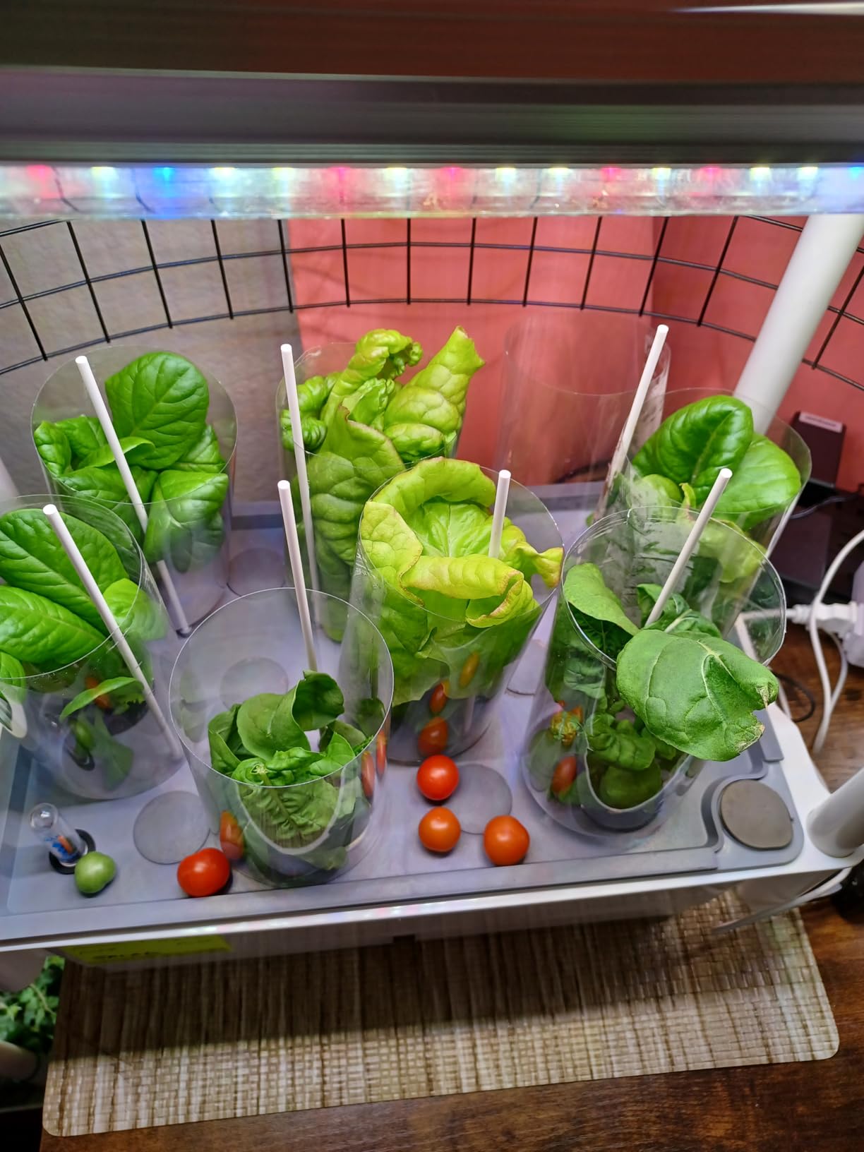 AOONEG 42Pods Indoor Herb Garden with LED Grow Light, Hydroponics Growing System Kit with Automatic Timer customer photo 1